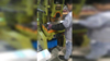 6061 T6/6063 T5/6060 T66 Anodized Aluminium Tube/Pipe