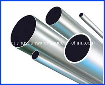 6061 T6 Tubular Etruded Aluminum Profiles /Pipe/Tube